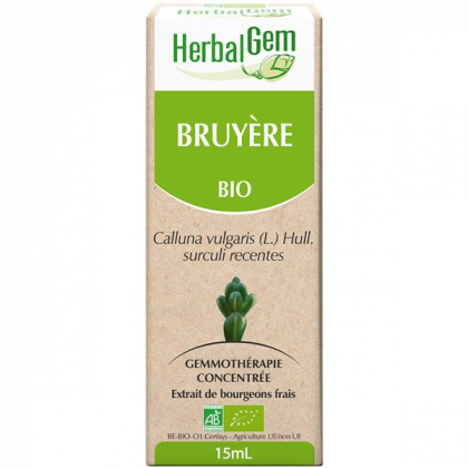 Bruyère - Macérat-mère 15ml