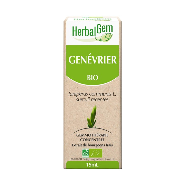 Genévrier - Macérat-mère 15ml