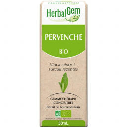 Pervenche - Macérat-mère 50ml