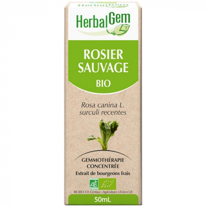 Rosier sauvage - Macérat-mère 50ml