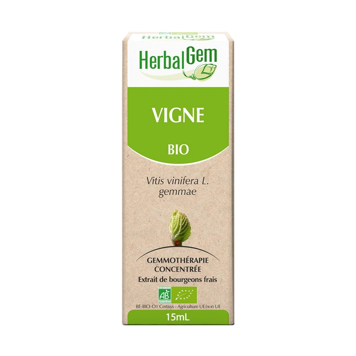 Vigne - Macérat-mère 15ml