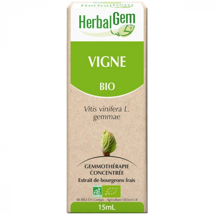 Vigne - Macérat-mère 15ml