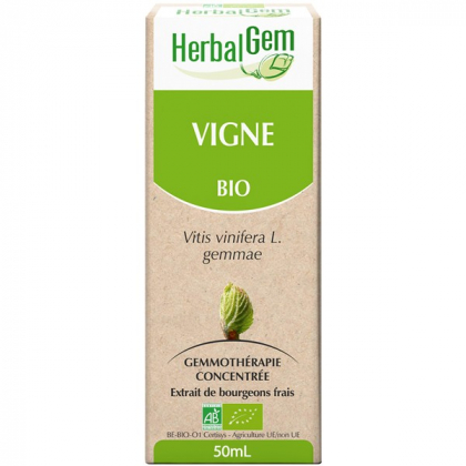 Vigne - Macérat-mère 50ml