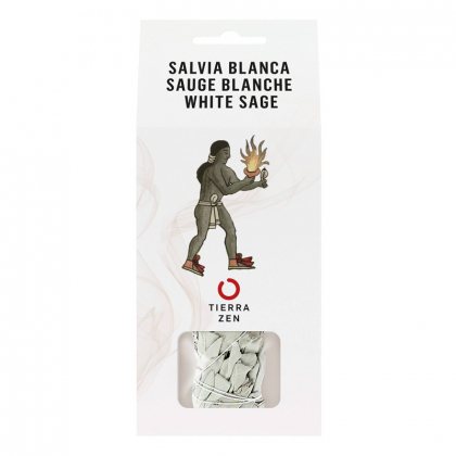 Sauge blanche - 10 cm