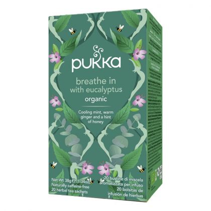 Infusion bio - Inspiration eucalyptus - Boite de 20 sachets