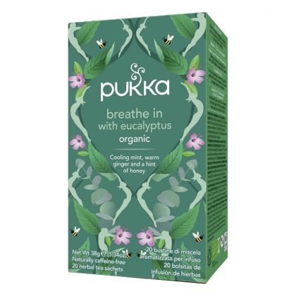 Infusion bio - Inspiration eucalyptus - Boite de 20 sachets