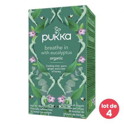 Infusion bio - Inspiration eucalyptus - Lot de 4 boites de 20 sachets