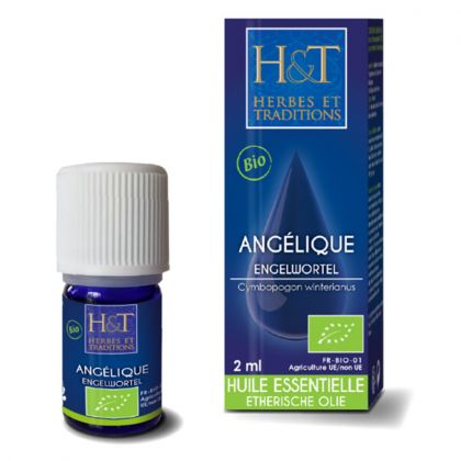 Huile essentielle d'Angélique racine bio - 2ml