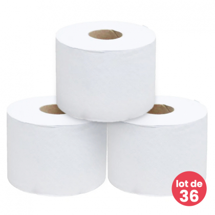 Papier toilette 100% recyclé - Lot de 36 rouleaux de 600 feuilles