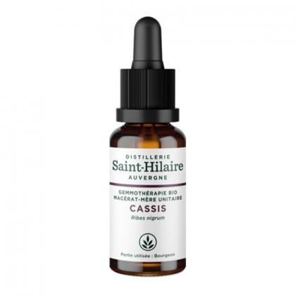 Macérat mère bio de cassis - 30ml