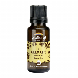 Fleurs de Bach n°09 - Clematis, Clématite bio - Granules 10g