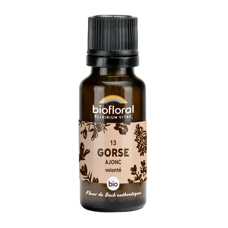 Fleurs de Bach n°13- Gorse, Ajonc bio - Granules 10g