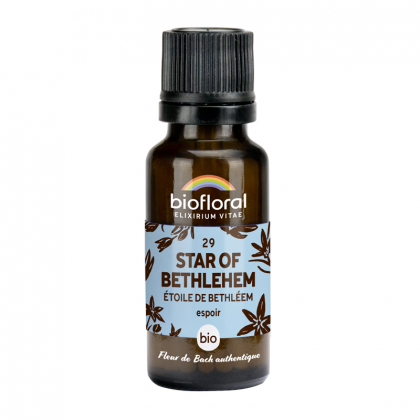 Fleurs de Bach n°29 - Star of Bethlehem, Étoile de Bethéem bio - Granules 10g