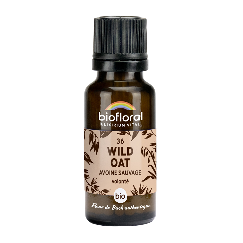 Fleurs de Bach n°36 - Wild oat, Avoine sauvage bio - Granules 10g