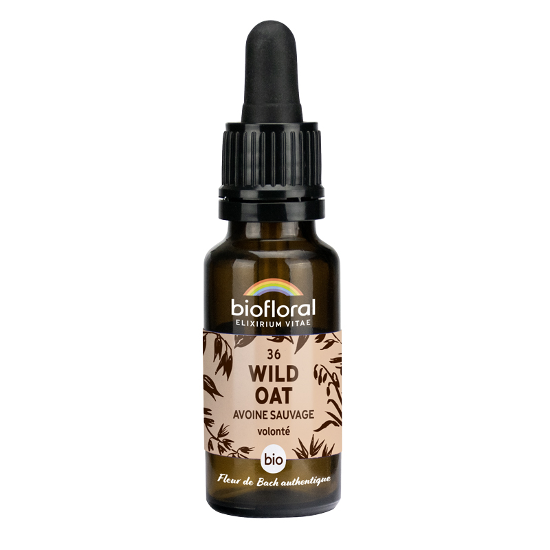 Fleurs de Bach n°36 - Wild oat, Avoine sauvage bio - Compte goutte 20ml