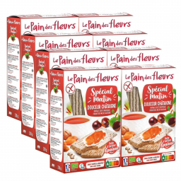 Tartines Spécial matin bio - Douceur châtaigne - Lot de 8x230g