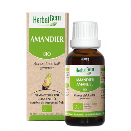 Amandier - Macérat-mère - 30ml