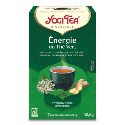 Infusion ayurvédique au thé vert bio - Énergie du thé vert - 17 infusettes