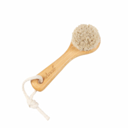 Brosse pour le visage