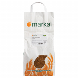 Graines de lin doré - 3kg