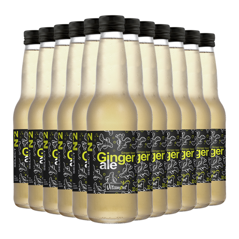 Ginger Ale boisson gazeuse - Lot de 12x33cl