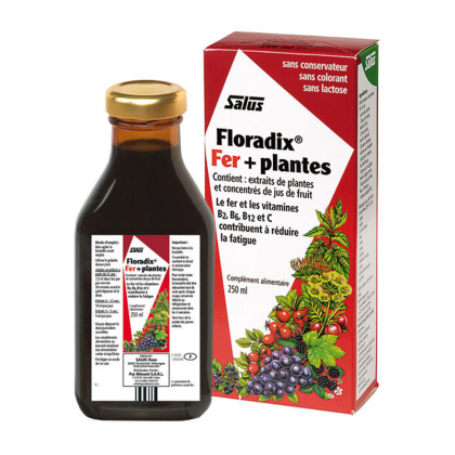 Floradix fer + plantes - 250ml