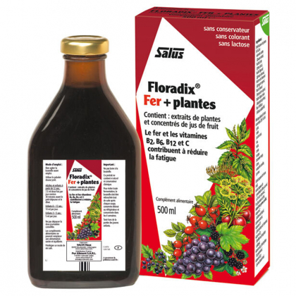 Floradix fer + plantes - 500ml