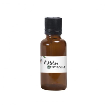 Flacon en verre ambré avec codigouttes - 30ml