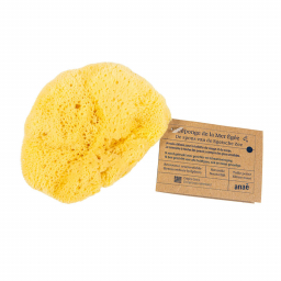 Petite éponge naturelle de la mer Égée