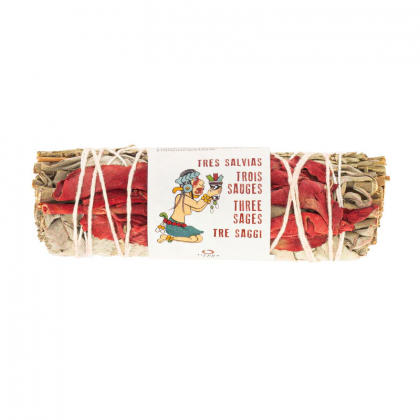 Brin Trois sauges - 8-10cm