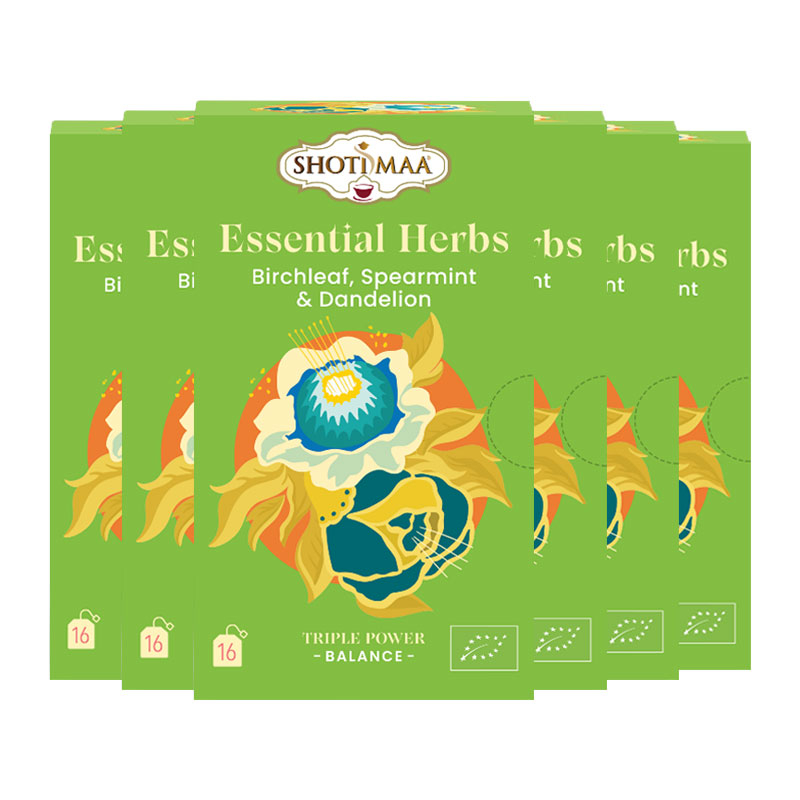 Infusion Équilibre basique - Feuilles de bouleau, menthe verte et pissenlit - Lot de 6 boites