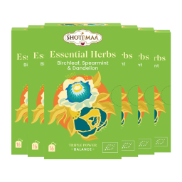 Infusion Équilibre basique - Feuilles de bouleau, menthe verte et pissenlit - Lot de 6 boites