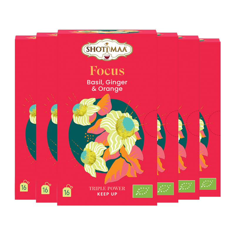 Infusion Focus - Basilic, gingembre et orange - Lot de 6 boites