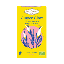 copy ofInfusion Éveil - Citron pomme et gingembre - 16 sachets