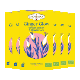 copy ofInfusion Éveil - Citron pomme et gingembre - Lot de 6 boites