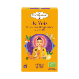 Infusion Je vois - Gingembre citron - 16 sachets
