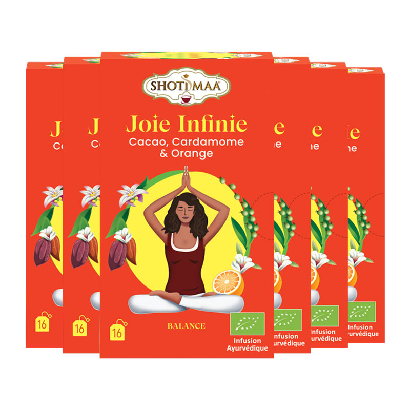 Infusion Joie infinie - Cacao cardamome et orange - Lot de 6 boites