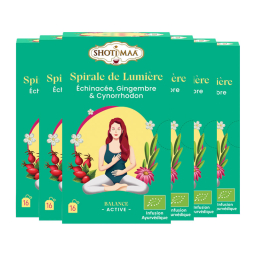 Infusion Spirale de lumière - Échinacée, gingembre et cynorrhodon - Lot de 6 boites