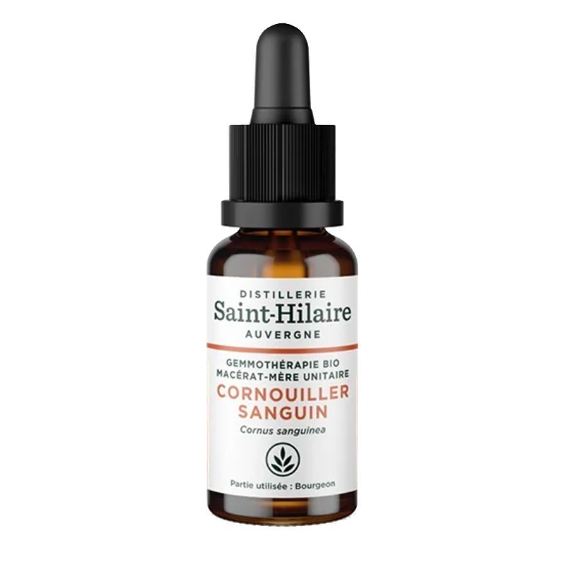 Macérat mère bio de cornouiller - 30ml