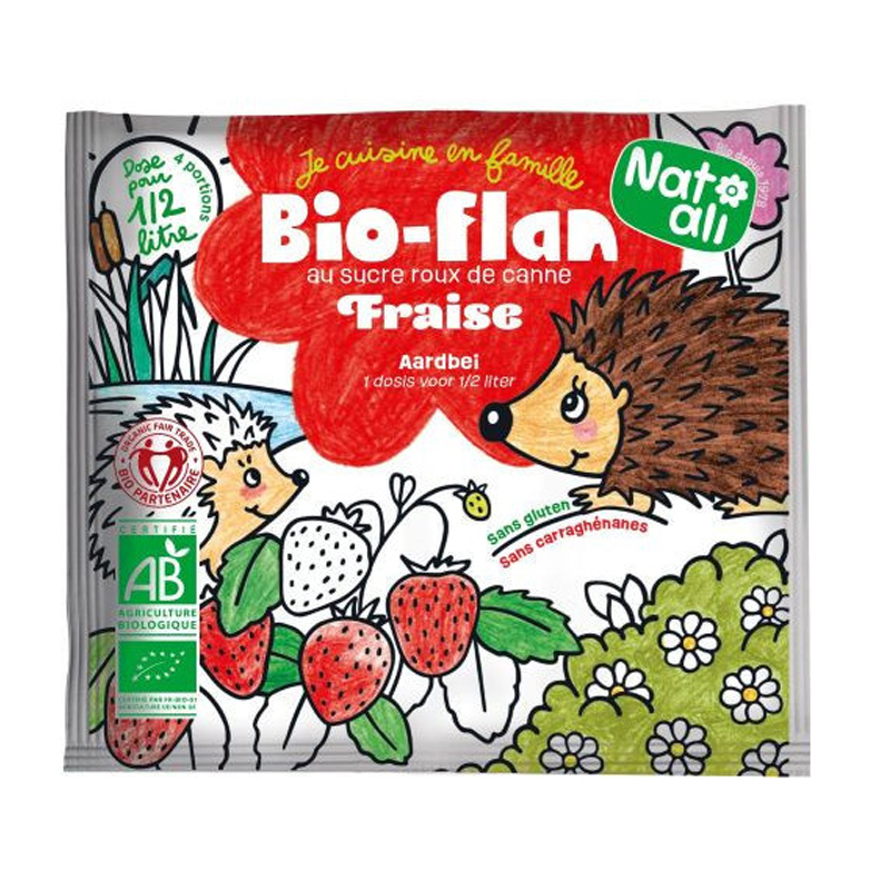 Bioflan kids à la fraise bio - 30g