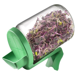 Germoir bocal en verre - 660ml