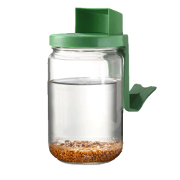 Germoir bocal en verre - 660ml