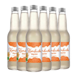 Kombucha gingembre bio - 6x33cl