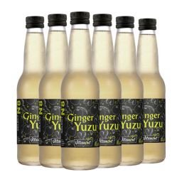 Ginger yuzu bio - 6x33cl