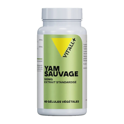 Yam sauvage 500mg - 60 gélules