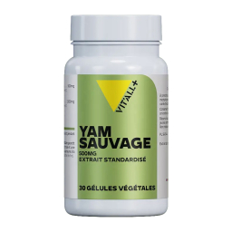 Yam sauvage 500mg - 30 gélules
