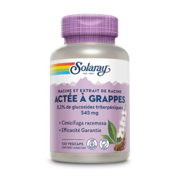 Actée à grappes, cimicifuga Racemosa standardisé 545mg - 120 capsules végétales