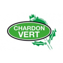 Chardon Vert