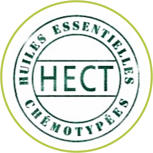 HECT